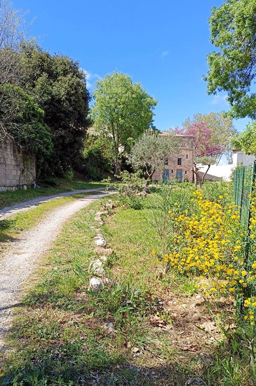 Terrain ST JEAN DE CORNIES (34160) L'Agence